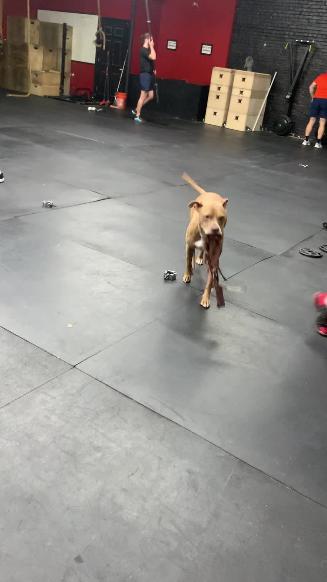 CrossFit Shadyside video